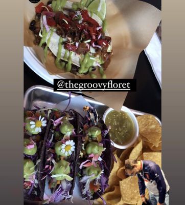 The Groovy Floret by null