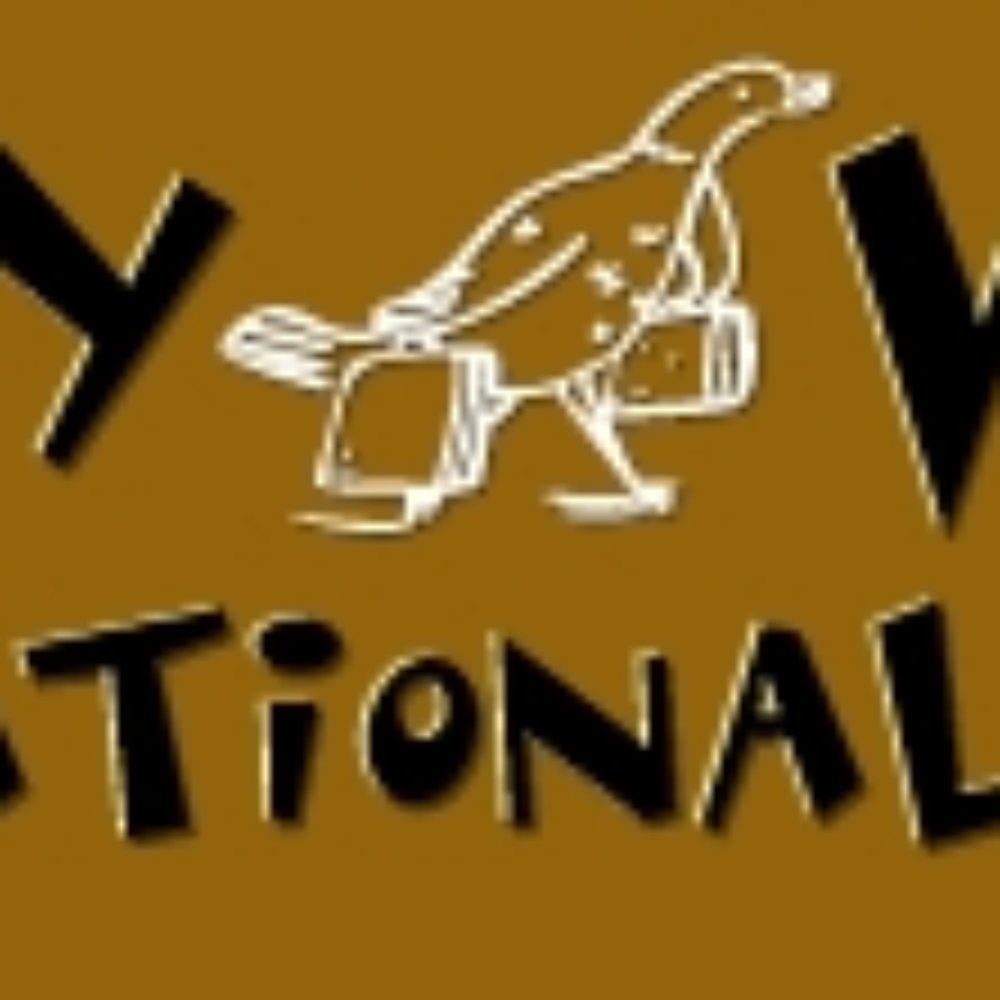 Four Day Weekend Comedy - Four Day Logo - Performing Arts Near Me - Fort Worth, Texas Four Day Weekend Comedy - Four Day Logo - Performing Arts Near Me - Fort Worth, Texas
