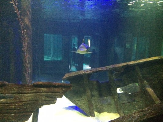 Underwater World Langkawi by null