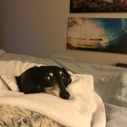 Penny 15 yrs 11/1/2003-06/22/2019 Penny 15 yrs 11/1/2003-06/22/2019