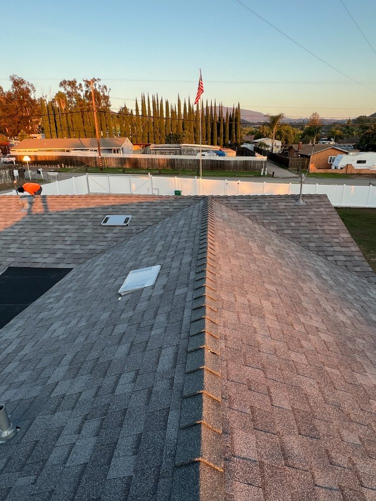 Slide of Cesar Arenas 