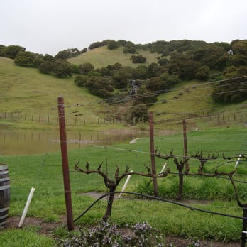 Nicholson Ranch Winery - Wineries Near Me - Sonoma, California Nicholson Ranch Winery - Wineries Near Me - Sonoma, California
