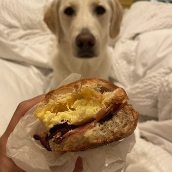 Beanstalk Cafe - Bagel croissant breakfast sandwich - Coffee & Tea Near Me - San Francisco, California