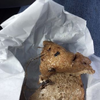 Bagel Bakery - Hair in Bagel - Bakeries Near Me - Salinas, California