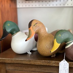 Dusty Finds