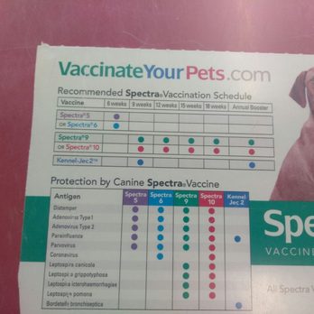 Rancho Feed & Pet - Pet Stores Near Me - Rancho Cucamonga, California Rancho Feed & Pet - Pet Stores Near Me - Rancho Cucamonga, California