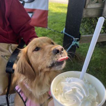 Jaspers Cafe - Chai Milkshake - Burgers Near Me - Medford, Oregon