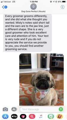 dog gone purrfect mobile grooming