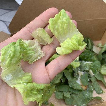 Lago Su Bella - Dirty lettuce leaves - Italian Near Me - Oconomowoc, Wisconsin