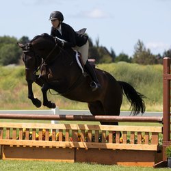 FUERZA Equestrian