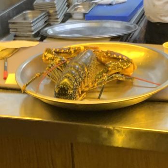 Botafumeiro - Seafood Near Me - Barcelona, BCN