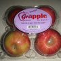 Photo of Grapple