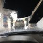 Photo of Tropic Express Car Wash