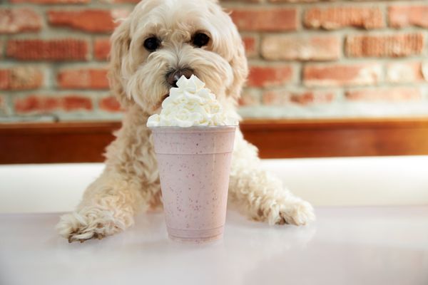 Burger Lounge by null