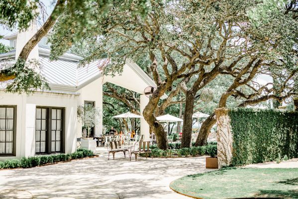 Signor Vineyards by null