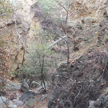 Topanga State Park - Parks Near Me - Topanga, California Topanga State Park - Parks Near Me - Topanga, California
