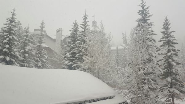 The Pines Lodge by null