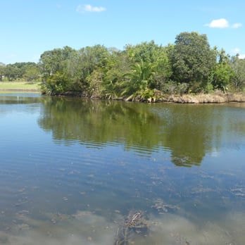 Onepoto Domain - Onetopo Domain Pond - Parks Near Me - Auckland, AUK Onepoto Domain - Onetopo Domain Pond - Parks Near Me - Auckland, AUK