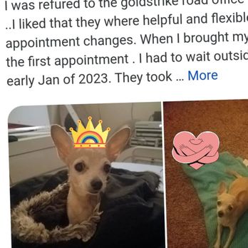Calaveras Veterinary Clinic - This is.the review that poofed - Veterinarians Near Me - San Andreas, California Calaveras Veterinary Clinic - This is.the review that poofed - Veterinarians Near Me - San Andreas, California