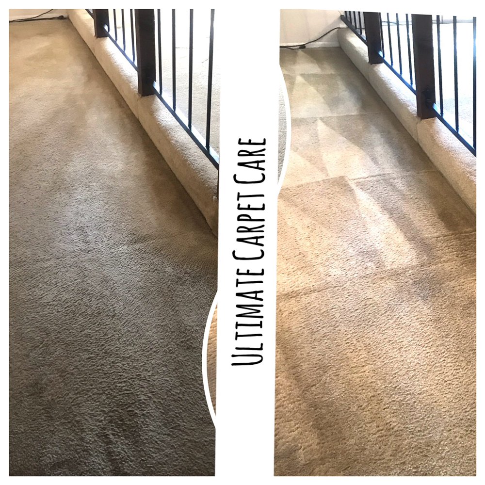 ULTIMATE CARPET CARE Updated September 2024 89 Photos & 10 Reviews