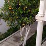 Photo of Bodrum Maya Otel