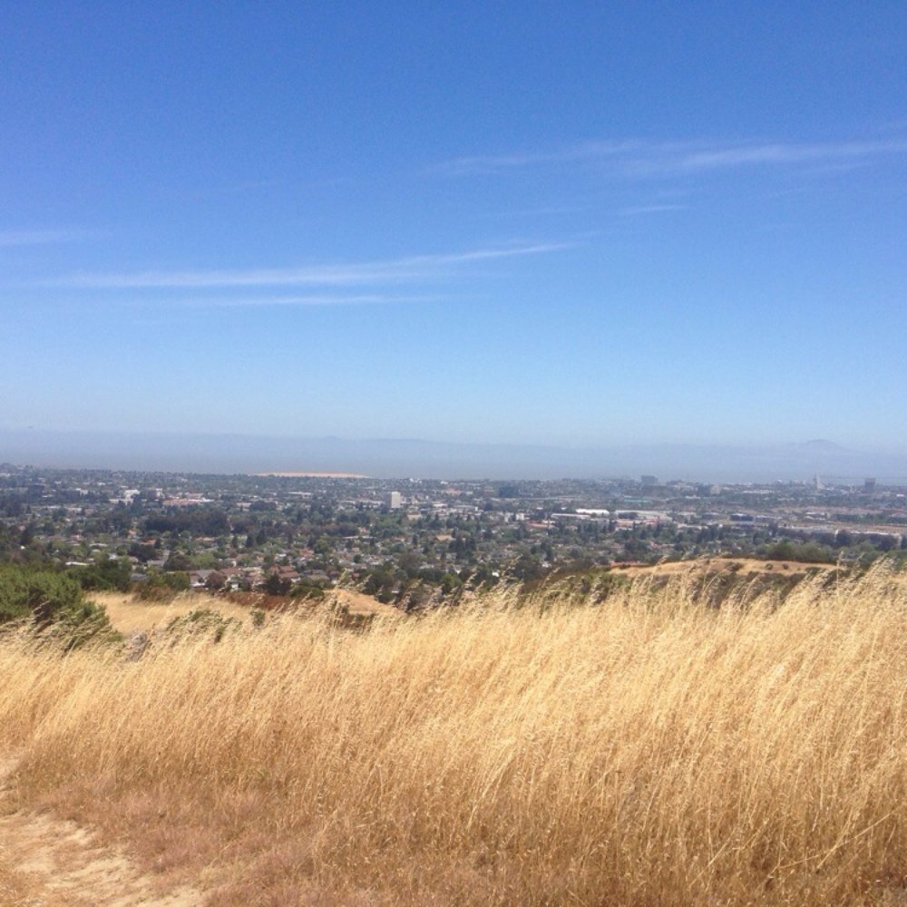 Laurelwood Park/Sugarloaf - Another view from the top. - Parks Near Me - San Mateo, California Laurelwood Park/Sugarloaf - Another view from the top. - Parks Near Me - San Mateo, California