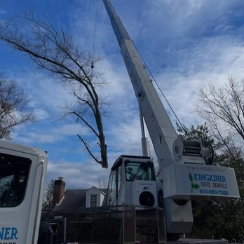 Kingkiner Tree Service - Tree Services Near Me - East Norriton Township, Pennsylvania Kingkiner Tree Service - Tree Services Near Me - East Norriton Township, Pennsylvania