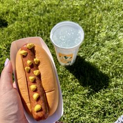Hohokam Stadium - Glizzzzzzzzzy