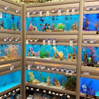 PetSmart - Pet Stores Near Me - D'Iberville, Mississippi