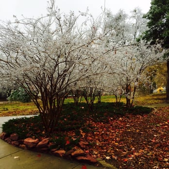 Perle Mesta Park - Lovely trees, great park, playground kids love and annual events such as Mesta Festa and a home tour. - Parks Near Me - Oklahoma City, Oklahoma Perle Mesta Park - Lovely trees, great park, playground kids love and annual events such as Mesta Festa and a home tour. - Parks Near Me - Oklahoma City, Oklahoma