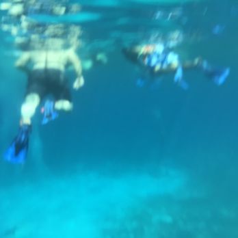 Chankanaab - My dad and husband - Water Parks Near Me - Cozumel, ROO Chankanaab - My dad and husband - Water Parks Near Me - Cozumel, ROO