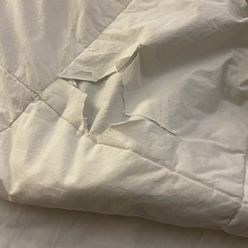 Quality Hotel And Conference Center - Our comforter - Hotels Near Me - Bluefield, West Virginia Quality Hotel And Conference Center - Our comforter - Hotels Near Me - Bluefield, West Virginia