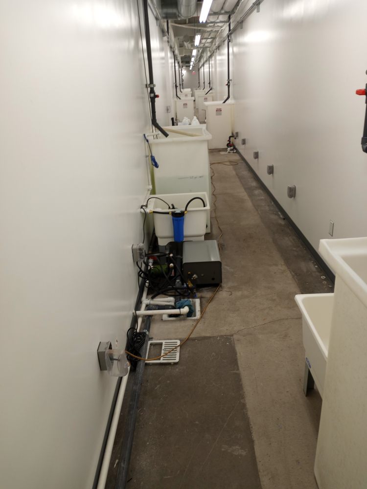 Slide of SW Handyman And Plumbing Services