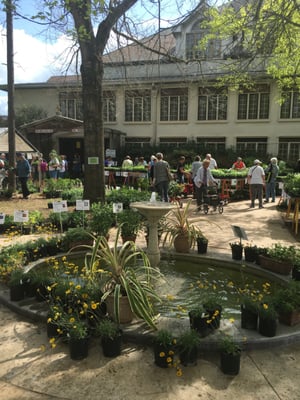 Round Top Festival Institute by null