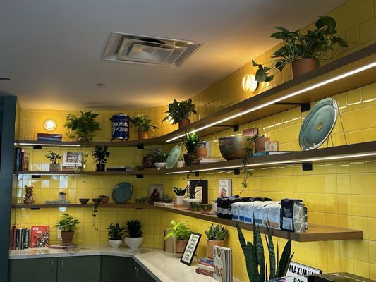 Dandelion Cafe Heights by null