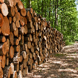 Spring Arbor Lumber & Home Center
