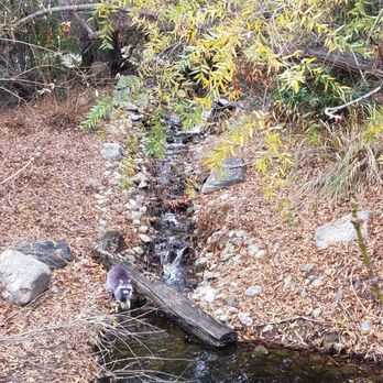 Land Use Learning Center - Cute little stream - Recreation Centers Near Me - Riverside, California