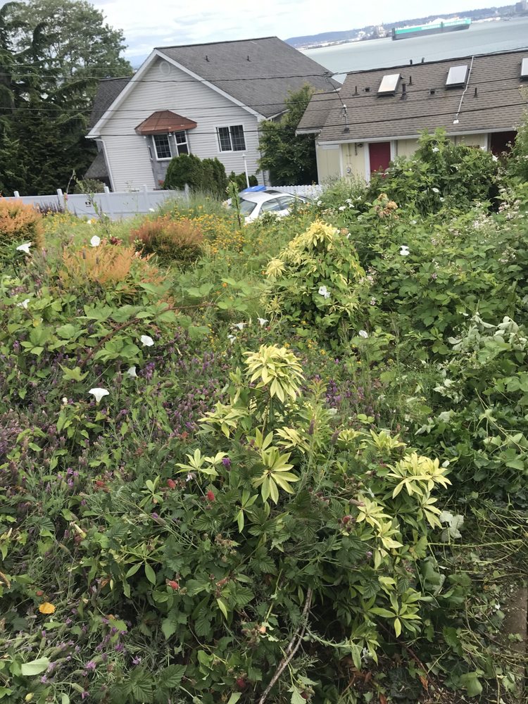 Slide of Cline & Maib