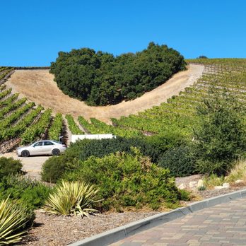 Niner Wine Estates - Wine Tasting Room Near Me - Paso Robles, California Niner Wine Estates - Wine Tasting Room Near Me - Paso Robles, California