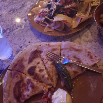 Blue Coyote Cantina - New American Near Me - Scottsdale, Arizona Blue Coyote Cantina - New American Near Me - Scottsdale, Arizona