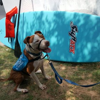 SUP DOG - Paddleboarding Near Me SUP DOG - Paddleboarding Near Me