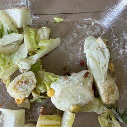 Stalks of lettuce from my salad Stalks of lettuce from my salad