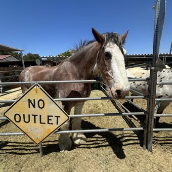 McKee Ranch - Ranches Near Me - Las Vegas, Nevada