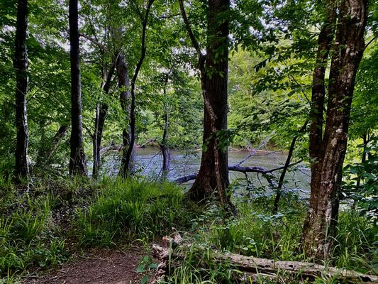 Landsford Canal State Park by null