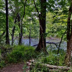 Landsford Canal State Park