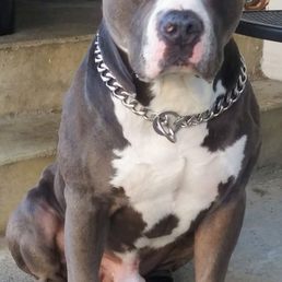 RIP Rocky Victa! RIP Rocky Victa!