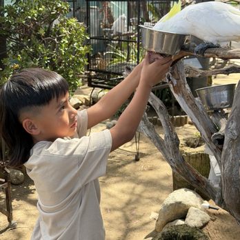 Free Flight - Animal Shelters Near Me - Del Mar, California
