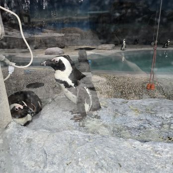 Toronto Zoo - Zoos Near Me - Toronto, Ontario