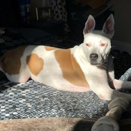 So Fresh & So Clean! So Fresh & So Clean!
