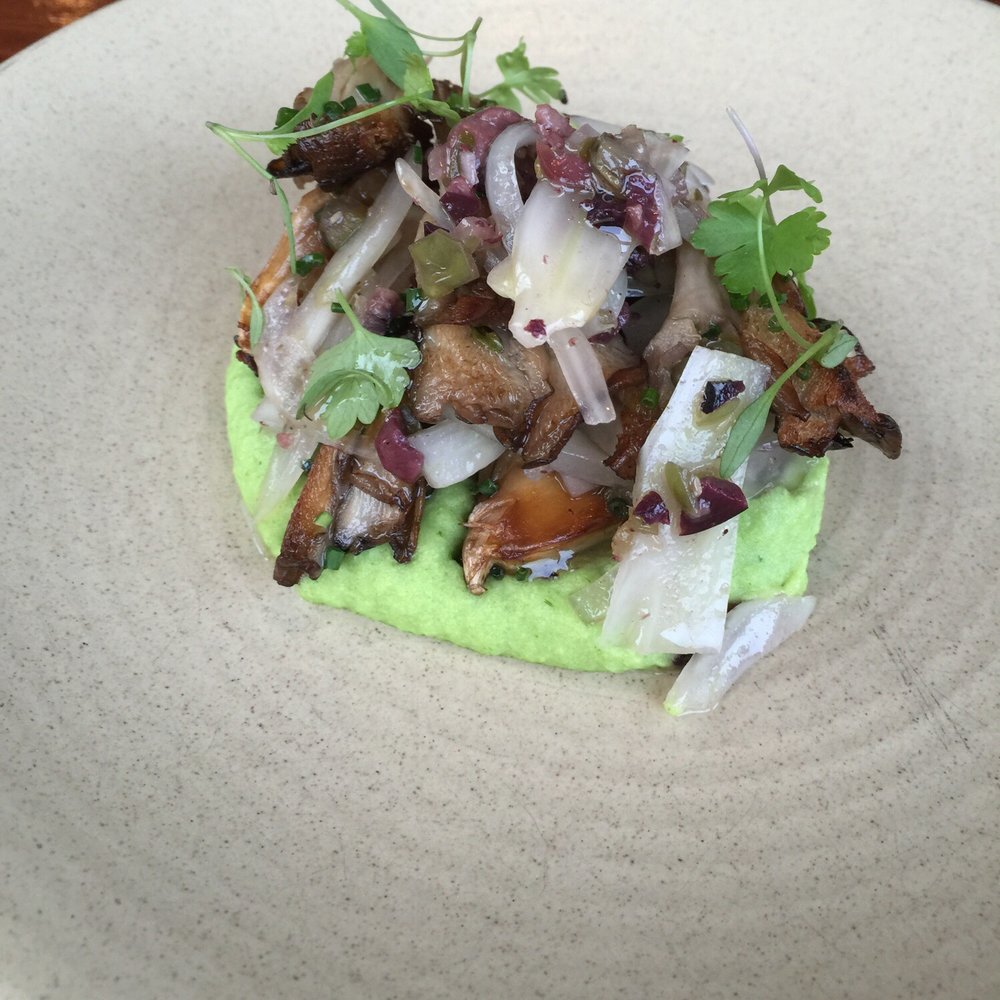 Charcoal - Roast maitake with fennel mash - New American Near Me - Yardley, Pennsylvania Charcoal - Roast maitake with fennel mash - New American Near Me - Yardley, Pennsylvania